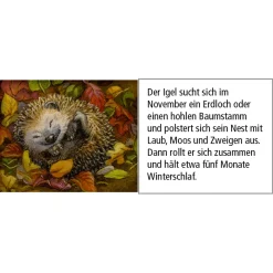 Adventsdeko & Kalender-Adventskalender 